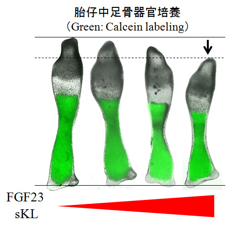 上岡 寛