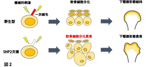 北見 恩美・小松 義広