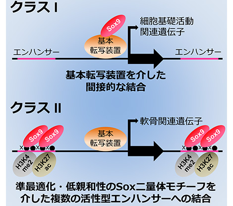 大庭 伸介