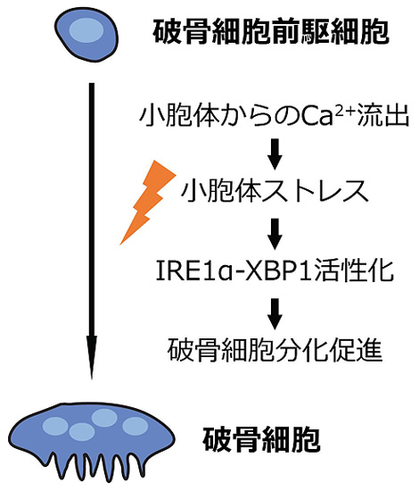 東門田 誠一
