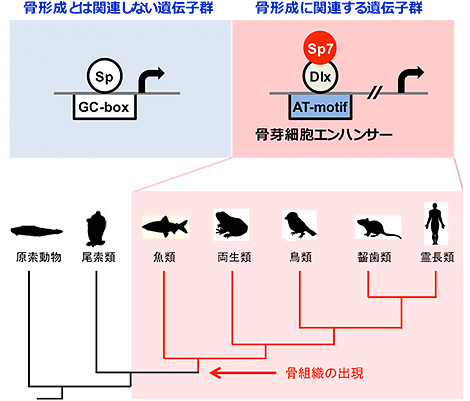 北條 宏徳