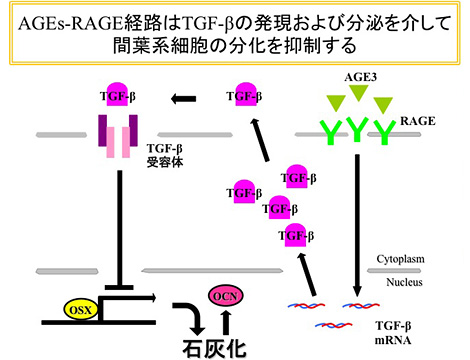 野津 雅和