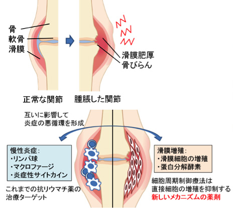 細矢 匡