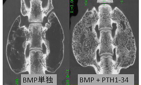 海渡 貴司