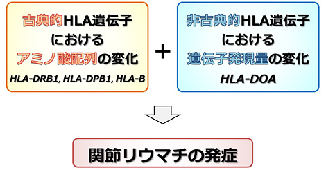 岡田 随象