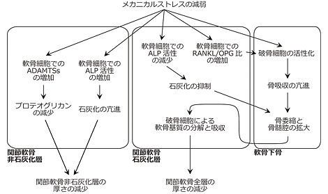 野村 将人