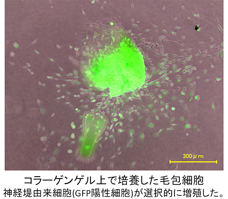 浦野 絵里