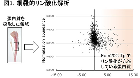 廣瀬 勝俊