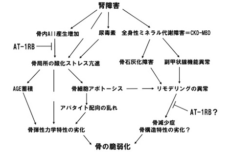 風間 順一郎