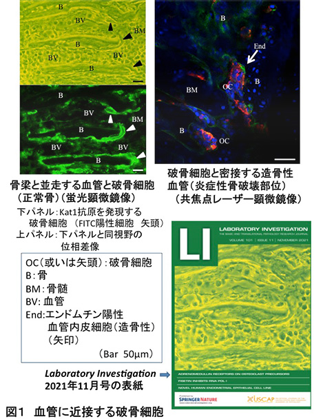 久木田 敏夫