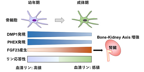 道上 敏美