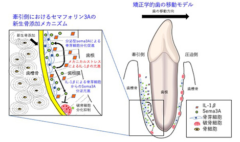 亀井 宏和