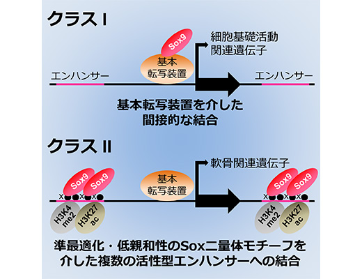 大庭 伸介