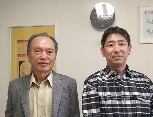 森石 武史