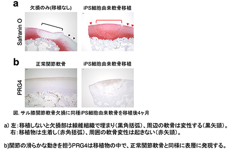 阿部 健吾