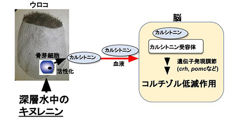 鈴木 信雄