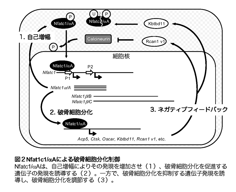佐藤 浩二郎