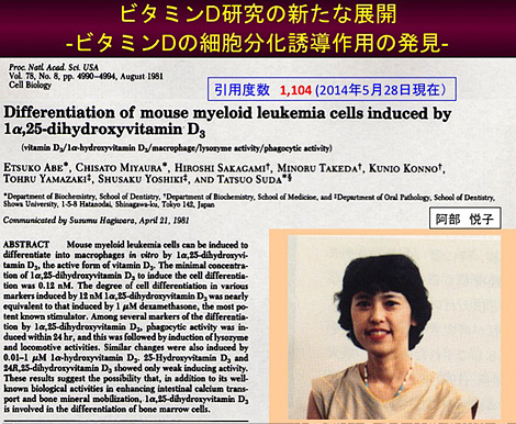 ビタミンDの細胞分化誘導作用の発見