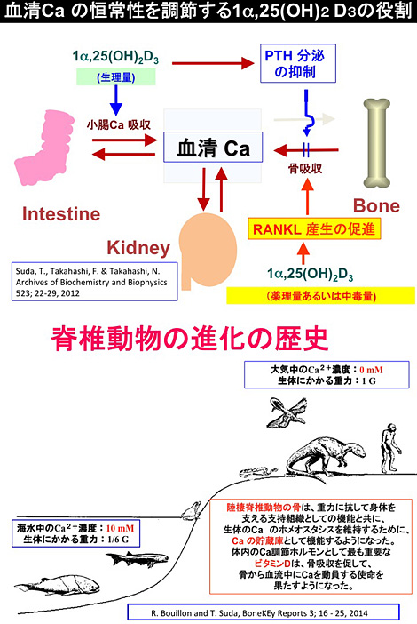 図14、図15