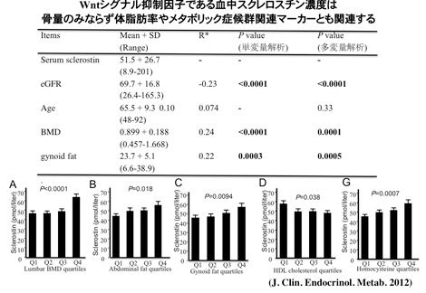 The Chemical Dynamics of Bone Mineral