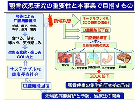 骨代謝研究と人々との出会い