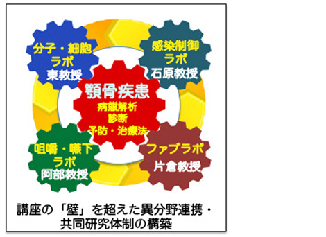 骨代謝研究と人々との出会い